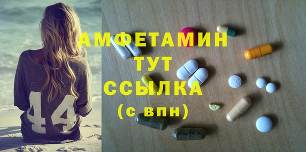 сатива Богданович